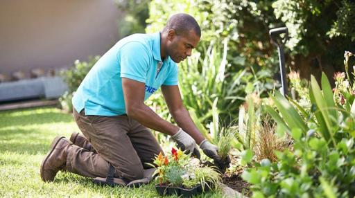5 Best Gardeners in Bristol - Lush lawns and tidy borders